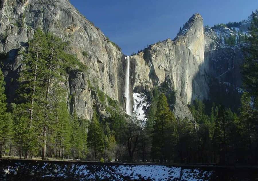 From San Jose:Enchanted Full Day Yosemite National Park Tour - Free time for foot or bike: choosing your own Yosemite pace