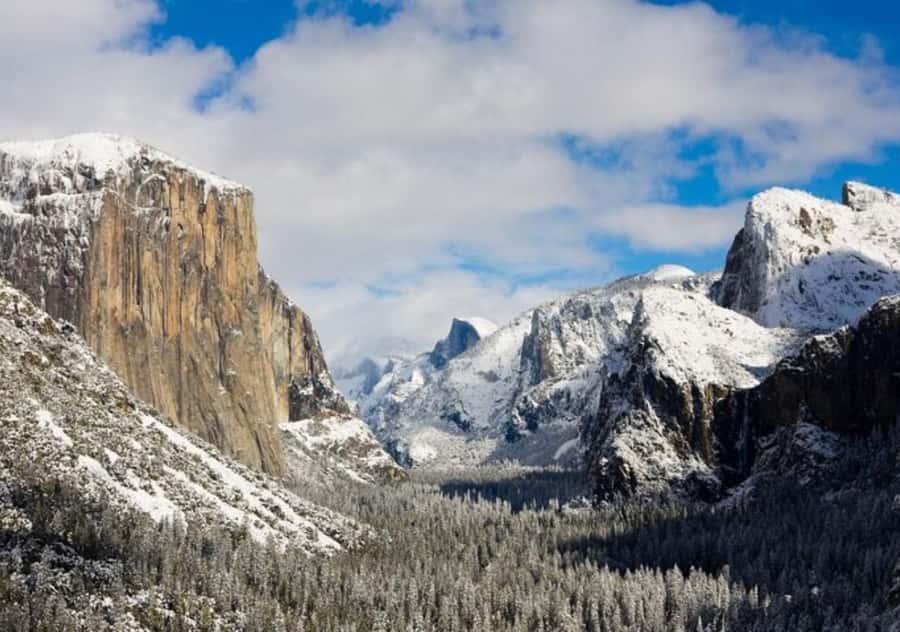 From San Jose:Enchanted Full Day Yosemite National Park Tour - Price and value at $385: what you’re paying for