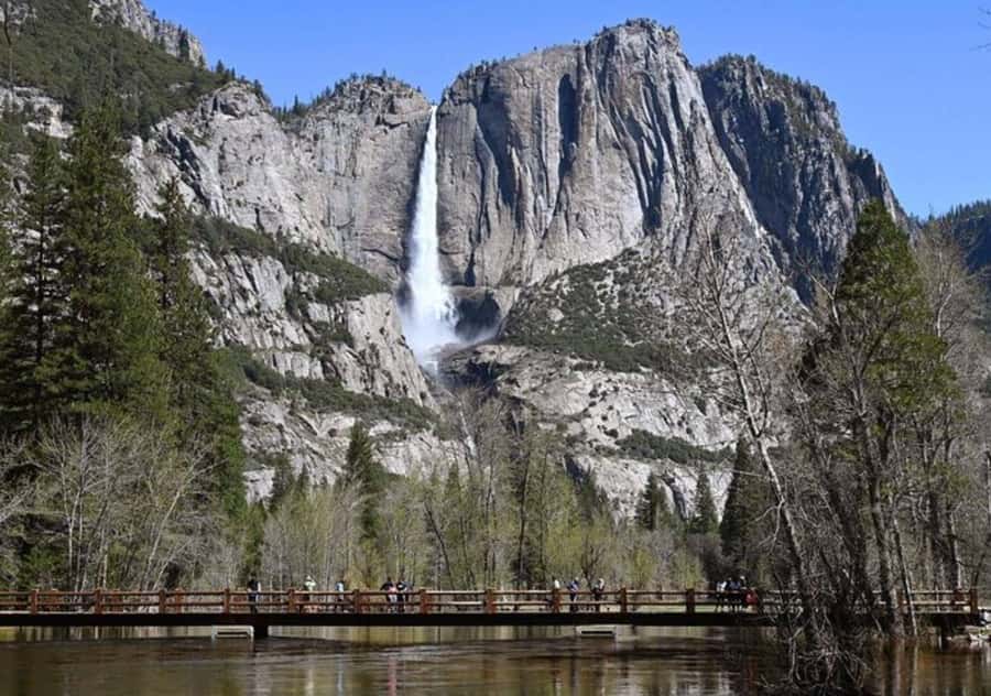 From San Jose:Enchanted Full Day Yosemite National Park Tour - Who this Yosemite day trip suits best (and who should skip it)