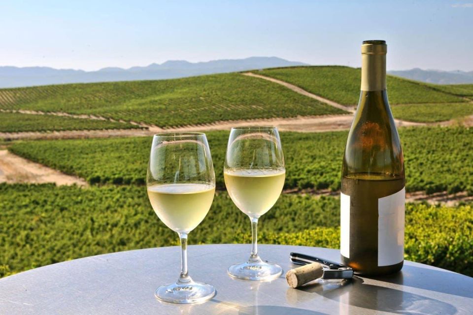 From SFO - Enchanted Napa & Sonoma Wine Tour in SUV - Key Points to Know Before You Go