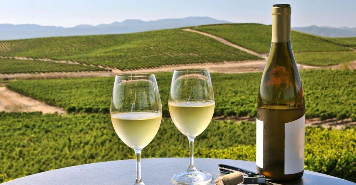 From SFO - Enchanted Napa & Sonoma Wine Tour in SUV - Napa’s Winery Pairing: Madonna Estate and Mayo Family