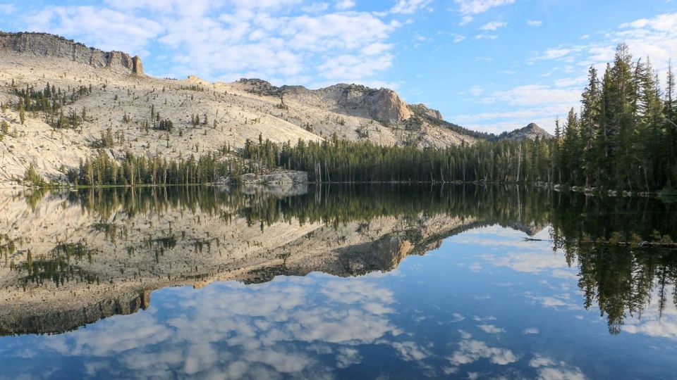 From SFO-Yosemite National Park-Enchanting Full Day Tour - Yosemite’s priority stops: Half Dome, Yosemite Falls, and El Capitan