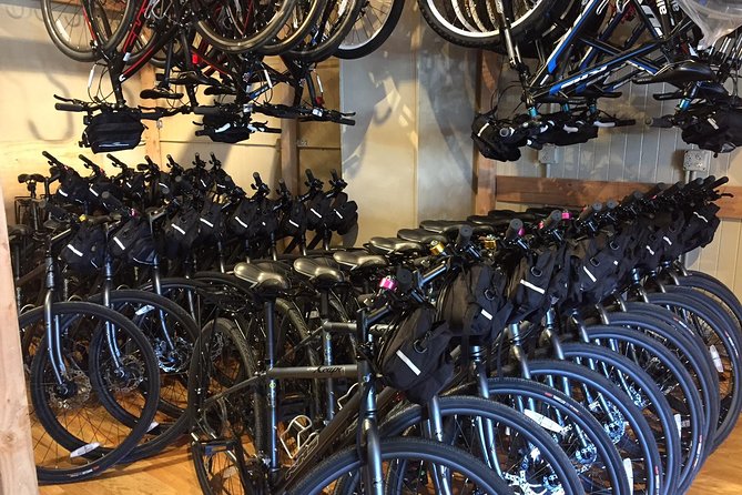 Golden Gate Bridge Electric Bike Rentals (E-Bike Rentals All day) - What You Don’t Get (And Why That’s Fine)
