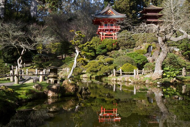 Golden Gate Park Bike Rental - Gardens you can actually enjoy between rides