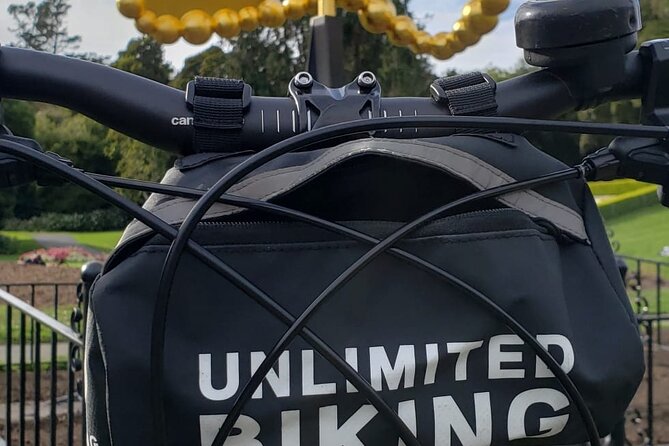 Golden Gate Park Bike Rentals - Why Cycling Here Beats Buses and Walking Tours