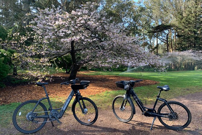 Golden Gate Park Electric Bike Rental - Why Golden Gate Park by e-bike makes sense