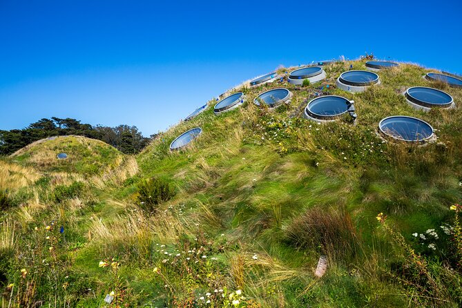 Golden Gate Park Tour With California Academy of Sciences Ticket - The National AIDS Memorial Grove and Shakespeare Garden: reflection with a twist