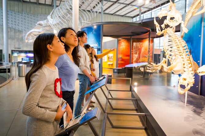 Golden Gate Park Tour With California Academy of Sciences Ticket - de Young Museum and the Hamon Observation Tower: earn the view