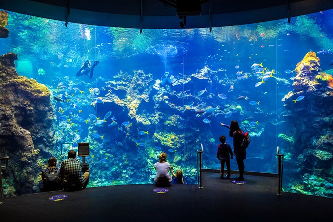 Golden Gate Park Tour With California Academy of Sciences Ticket - California Academy of Sciences: use your ticket strategically