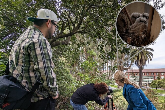 Golden Gate Park Twilight Wildlife Walking Tour - Key Things I’d Watch For Before You Go