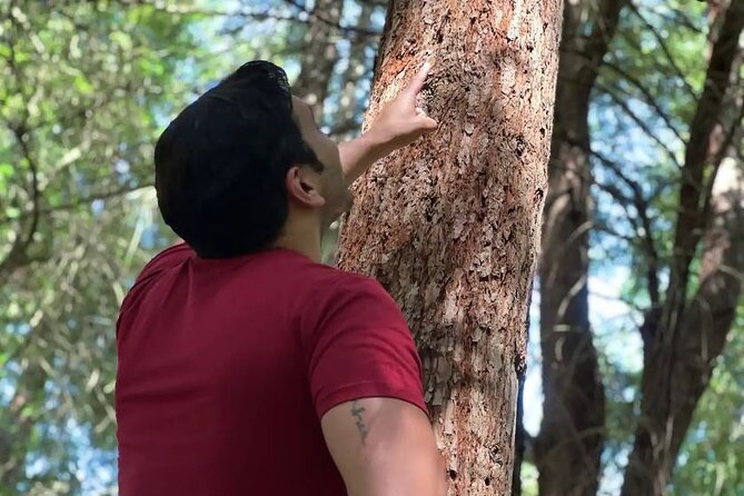 Golden Gate Park's Hidden Gems, Highlights and History - Why Meteorologist John Shrable Makes This Tour Work