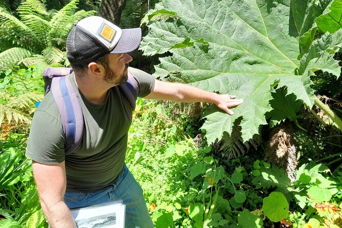 Golden Gate Park's Hidden Gems, Highlights and History - Who This Tour Is Best For (and When to Skip It)