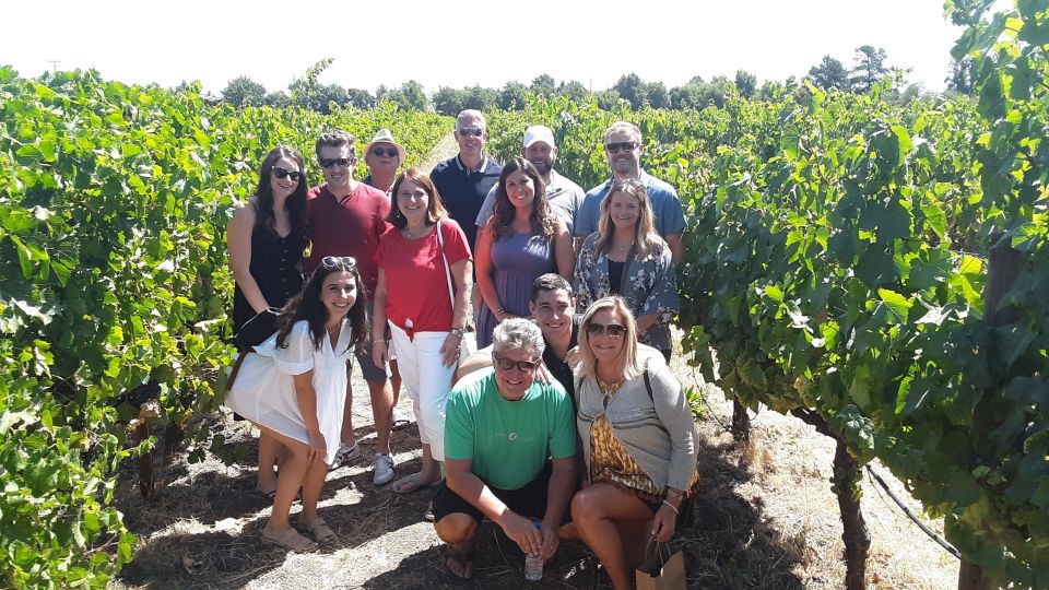Guided Private Wine Tour to Napa and Sonoma Wine Country - Key Highlights You’ll Care About