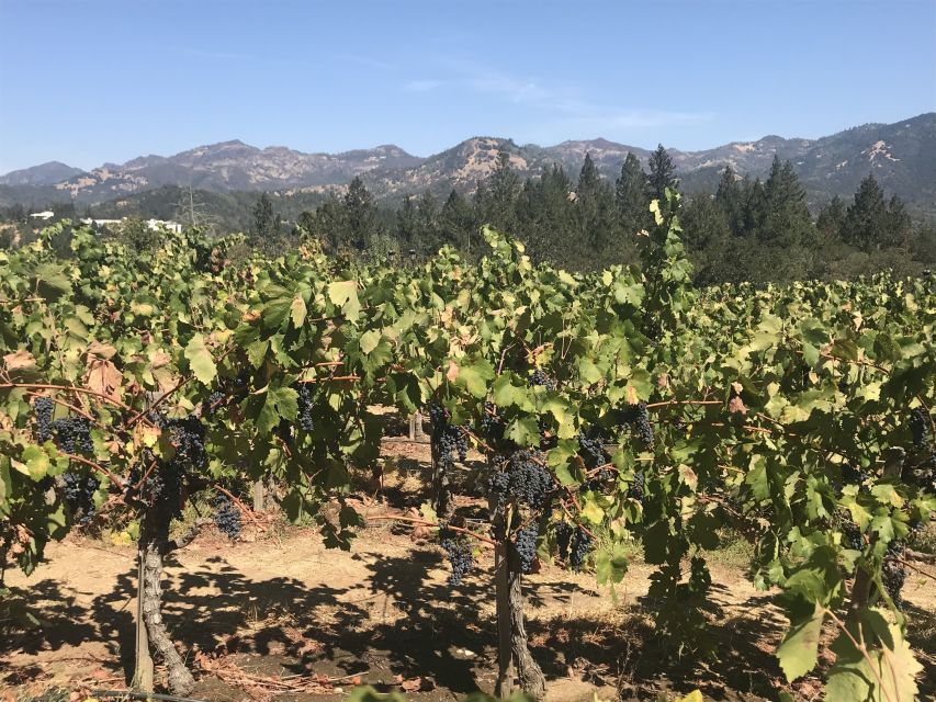 Guided Private Wine Tour to Napa and Sonoma Wine Country - Napa Wine Tasting Stops: What Two Tastings Buys You