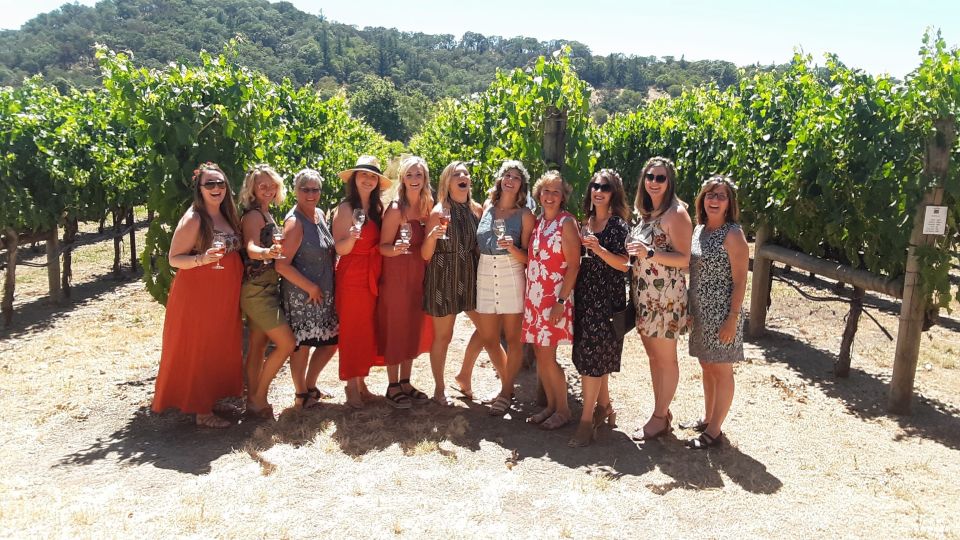 Guided Private Wine Tour to Napa and Sonoma Wine Country - Sonoma Plaza Lunch: The Midday Reset You’ll Feel