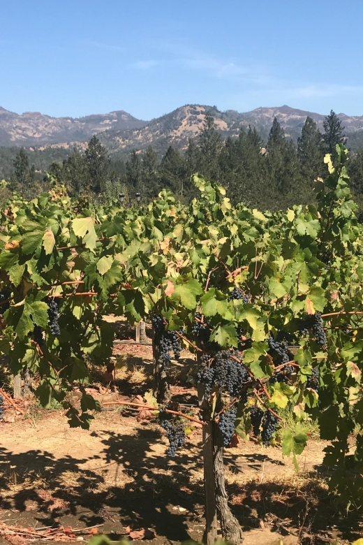 Guided Private Wine Tour to Napa and Sonoma Wine Country - Sonoma Wine Tasting: From Gardens to Family Rooms