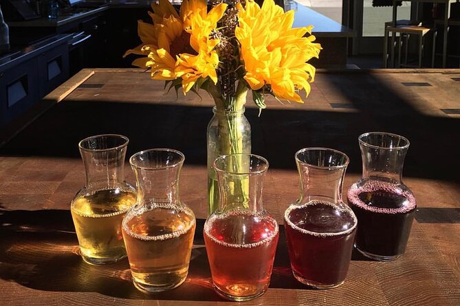 Guided Wine Tasting at Berkeley Wineries with Local Sommelière - Snacks, Ventilation, and Dog-Friendly Berkeley Comfort