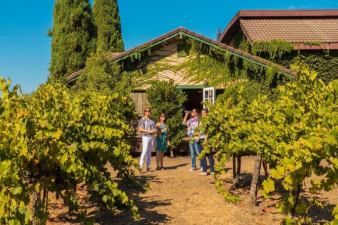 Half-Day Wine Tour Plus Hop-On Hop-Off Bus Pass - Who This Tour Fits Best (and Who Might Want Another Option)