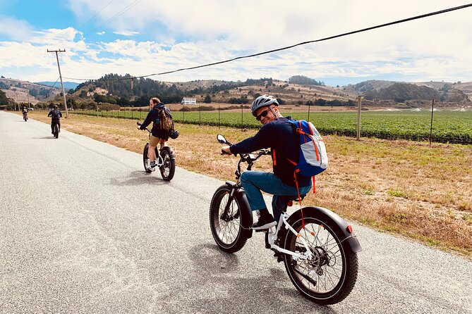 Half Moon Bay Guided E-Bike Tour - Price, Pace, and Group Size: What $110 Gets You