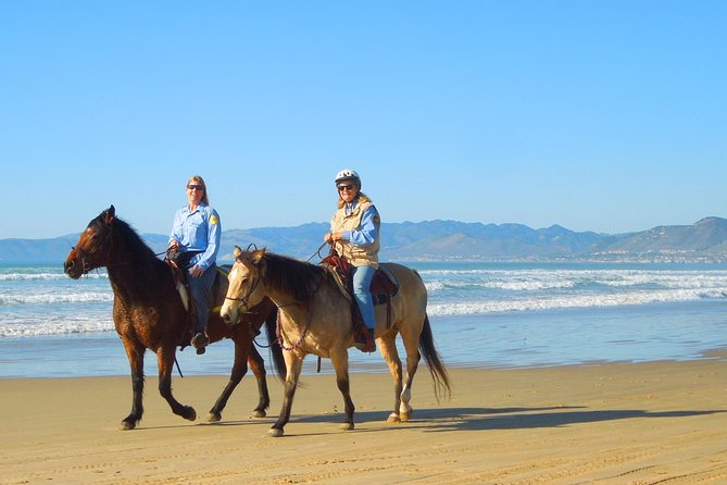 Horseback Ride & Alcatraz Prison Tickets - Getting to Alcatraz with the only authorized ferry line