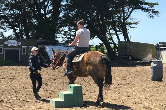 Horseback Ride & Alcatraz Prison Tickets - The drive along Route 1: when “getting there” is part of the day