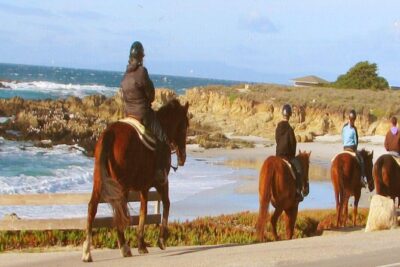 Horseback Ride & Alcatraz Prison Tickets - On The Rock: using the included audio tour to move at your pace