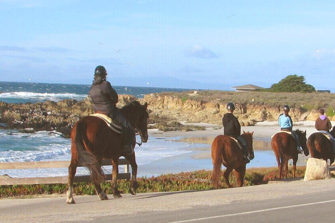 Horseback Ride & Alcatraz Prison Tickets - Horseback riding at a historic family ranch near Half Moon Bay
