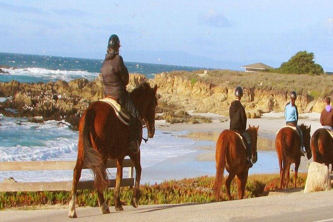 Horseback Ride & Alcatraz Prison Tickets - On The Rock: using the included audio tour to move at your pace