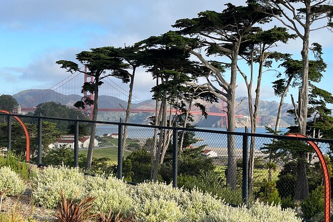 Iconic San Francisco Urban Hiking Tour - Passing the Yoda Fountain on the way to Tunnel Tops Park