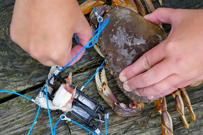 Learn to Catch and Cook Crab under Golden Gate Bridge SF - Cooking On-Site: Turning Catch into Dinner