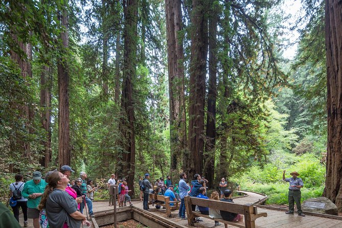 Mix & Save: Muir Woods and Sausalito + Escape From the Rock Cruise - Should you book this Muir Woods + Sausalito + Alcatraz-area cruise day?