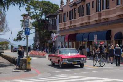Muir Woods and Sausalito (Return by Bus or Ferry) - Muir Woods in 90 minutes: how to make the most of limited time