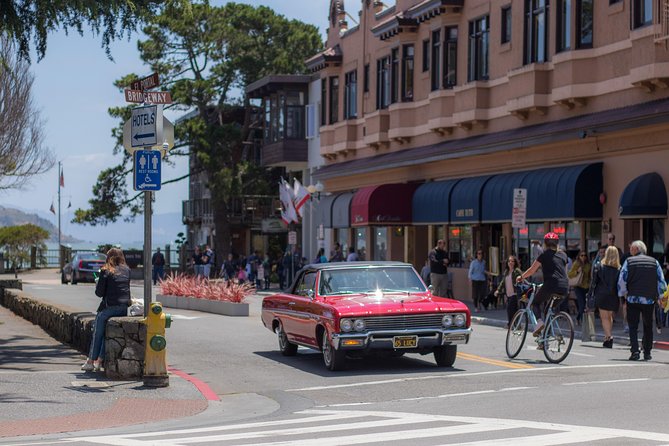 Muir Woods and Sausalito (Return by Bus or Ferry) - Muir Woods in 90 minutes: how to make the most of limited time