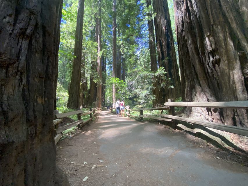 Muir Woods, Golden Gate Bridge & Sausalito Private Tour 3+hr - Sausalito’s artistic waterfront vibe (and why it works in a short tour)