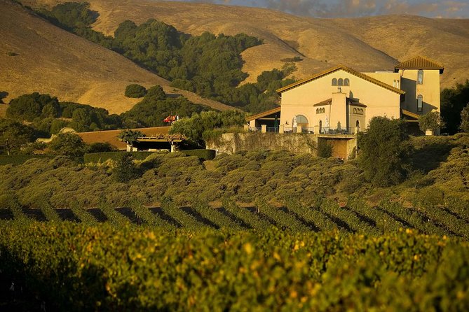 Muir Woods & Napa-8hr-Private Scenic Wine Tour From San Francisco - A private day that actually feels like a day