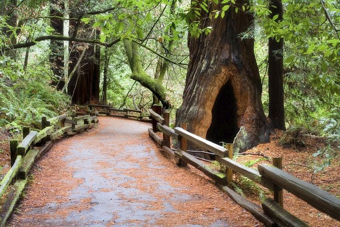 Muir Woods & Napa-8hr-Private Scenic Wine Tour From San Francisco - Sonoma first: a smart way to warm up