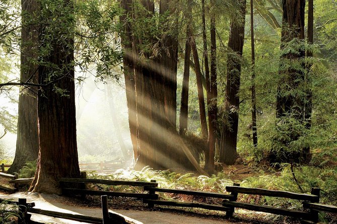 Muir Woods & Napa-8hr-Private Scenic Wine Tour From San Francisco - Getting from San Francisco to redwoods and wine country