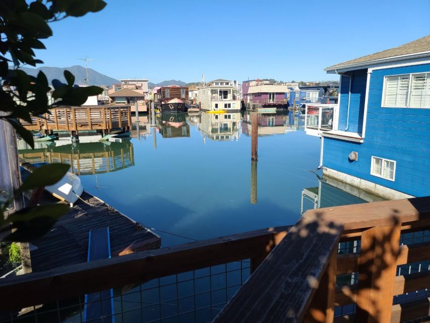 Muir Woods, Sausalito and Ferry back to Fisherman's Wharf - Price and Value: Does $145 Make Sense Here?