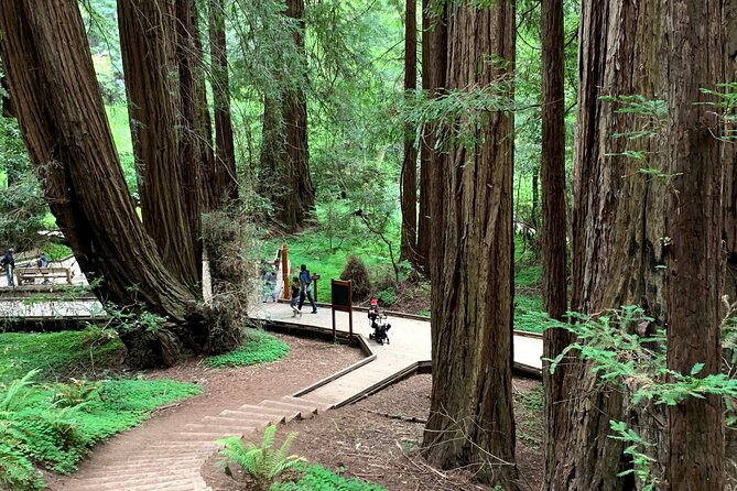 Muir Woods, Sausalito and Golden Gate Bridge - The plan at a glance: timing, what you’ll do, and what to expect