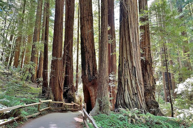 Muir Woods, Sausalito, Battery Spencer Premium Small-Group Tour - Where you start: Fisherman’s Wharf meets Pacific Heights views