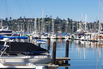 Muir Woods Sausalito Entry & Ferry to Fishermans Wharf included - Golden Gate Bridge stop: short time, big payoff