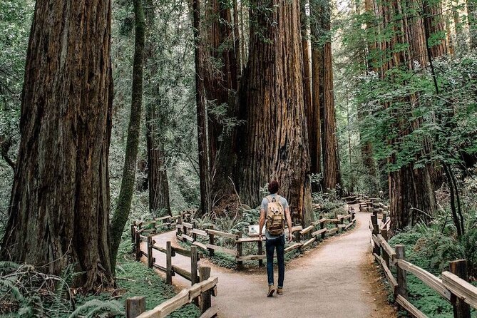 Muir Woods & Sausalito: Small Group Experience - Why This Muir Woods & Sausalito Combo Feels Just Right