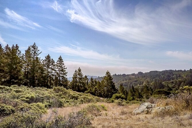 Muir Woods Self-Guided Driving and Walking Audio Tour - Muir Woods Rd: redwood ecology and why conservation mattered
