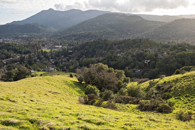 Muir Woods Self-Guided Driving and Walking Audio Tour - Finding the wooden archway and ending at the Visitor Center