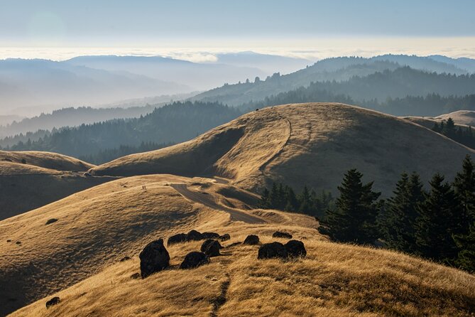 Muir Woods Self-Guided Driving and Walking Audio Tour - What 31+ stories and location-based playback mean for your day