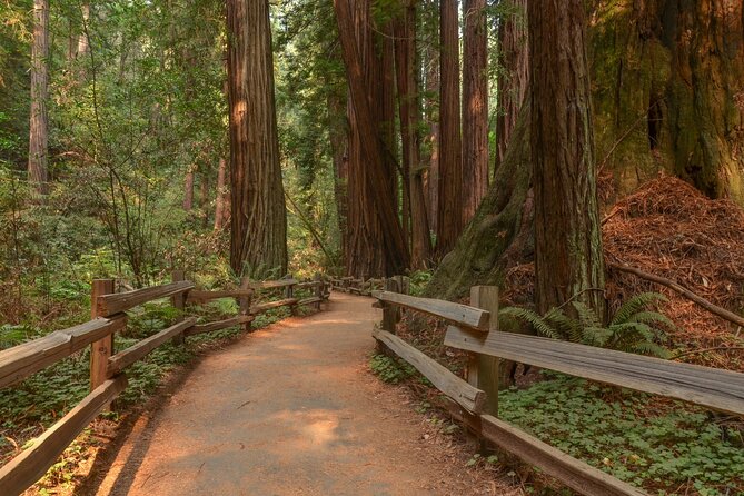 Muir Woods Self-Guided Driving and Walking Audio Tour - Tech setup: making offline audio work (without pulling your hair out)