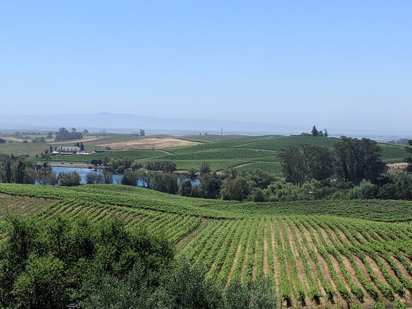 Napa and Sonoma Valley Wine 6 hour Tour from San Francisco - Price and Logistics: What $612 Covers (and What It Doesn’t)