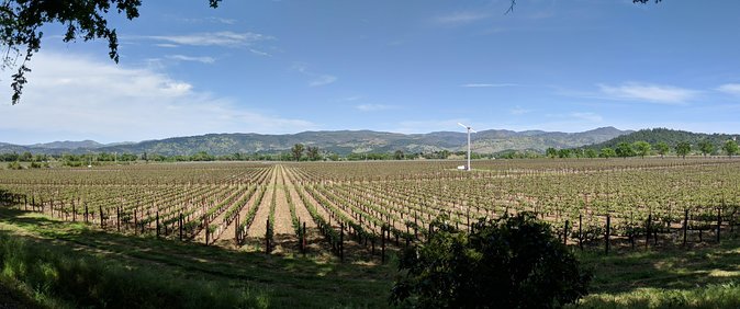 Napa and Sonoma Valley Wine 6 hour Tour from San Francisco - The Historic Plaza Stop: Bear Flag (1846) and Vallejo’s Military Barracks