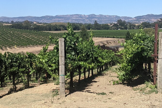 Napa and Sonoma Valley Wine 6 hour Tour from San Francisco - Guide Skills That Actually Change Your Day (Pat, Pep, Sharon Traeger, and Karen)