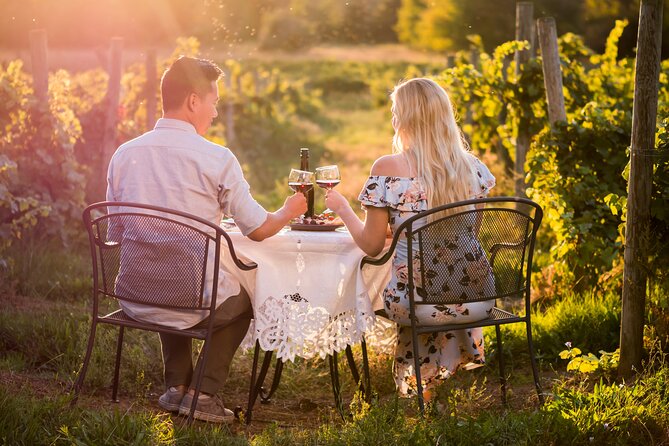 Napa or Sonoma Private Wine Tour from San Francisco - Napa vs Sonoma From San Francisco: The Big Advantage of Private